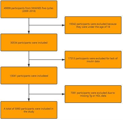 Associations of Triglycerides/High-Density Lipoprotein Cholesterol Ratio With Insulin Resistance, Impaired Glucose Tolerance, and Diabetes in American Adults at Different Vitamin D3 Levels